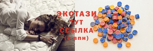 дмт Бородино