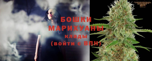 дмт Бородино
