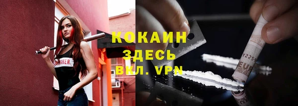 дмт Бородино