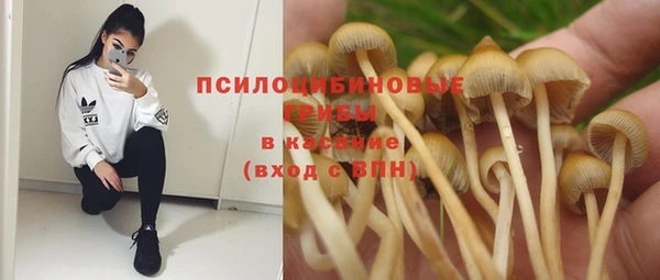 кристаллы Богданович