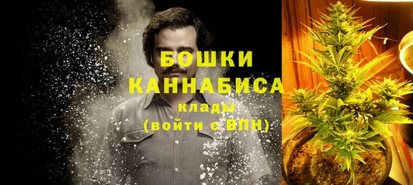 дмт Бородино