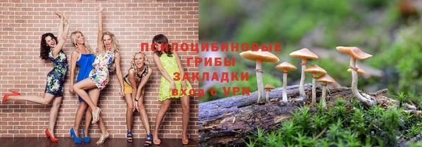 кокс Богородск