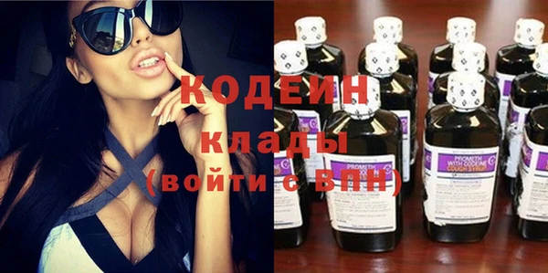 дмт Бородино