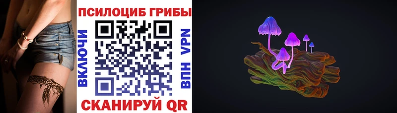 Псилоцибиновые грибы Psilocybe  Далматово 