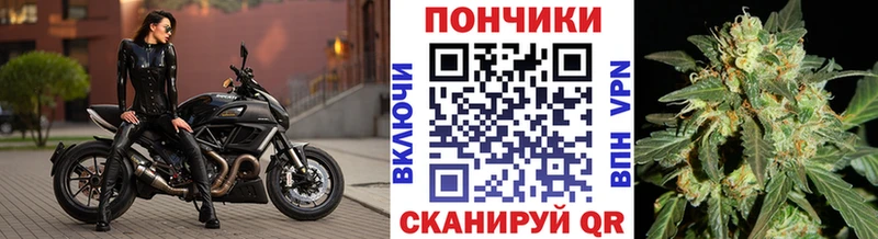Бошки марихуана MAZAR  Далматово 